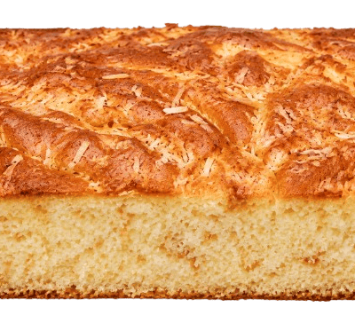 Large Box Coconut Lekach Sponge